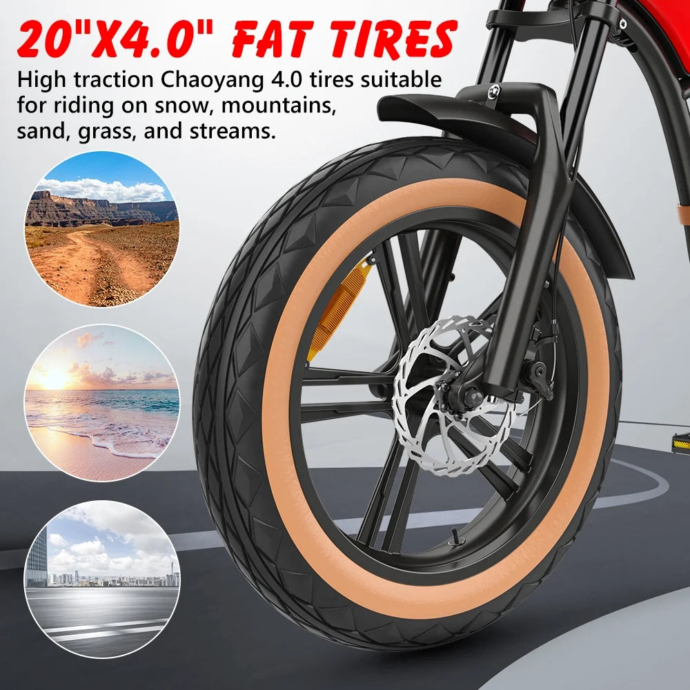 Hidoes B10 Electric Mountain Bike for Men/Woman 1000W Adult Electric Bicycle 20" Fat Tire Off Road E - Product image 12