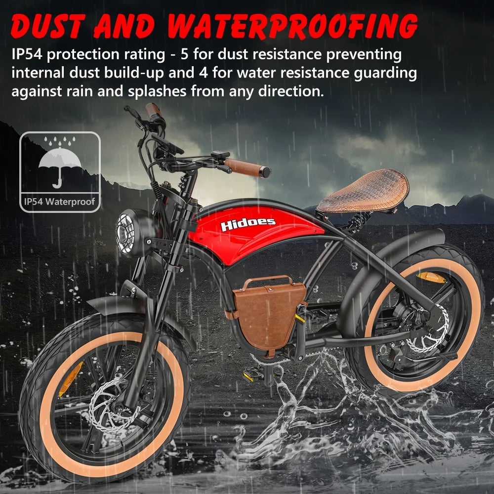 Hidoes B10 Electric Mountain Bike for Men/Woman 1000W Adult Electric Bicycle 20" Fat Tire Off Road E - Product image 21